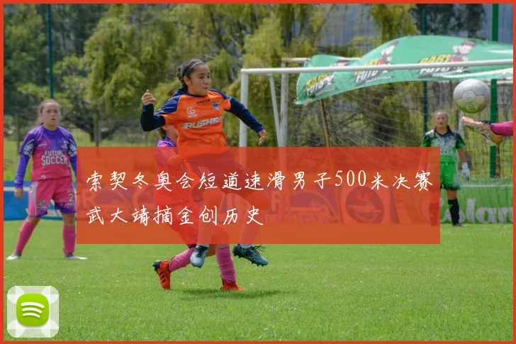 索契冬奥会短道速滑男子500米决赛武大靖摘金创历史